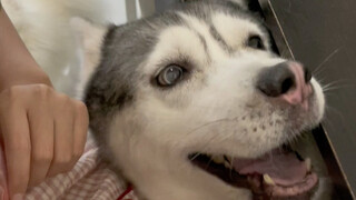 I'd love to rein them in, but those "no-holds-barred" little expressions are just too hard to resist