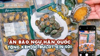 Chấn động ăn BÀO NGƯ HÀN QUỐC tặng kèm ỐC BULOT xịn sò!! | Địa điểm ăn uống