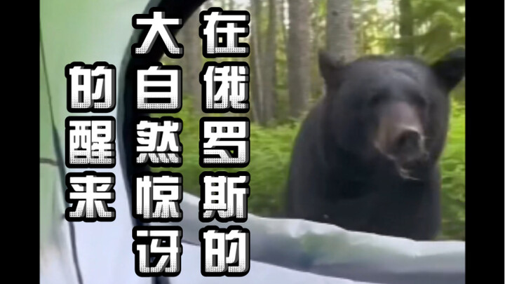 Waking Up in Awe of Russia's Nature