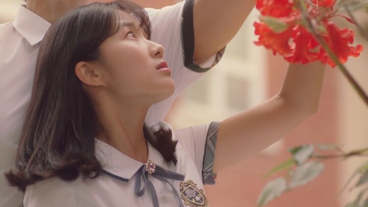 Famous Umbrella Scenes | When the Music Starts, You Are the Protagonist [One Day]