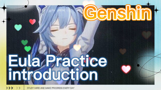 Eula Practice introduction