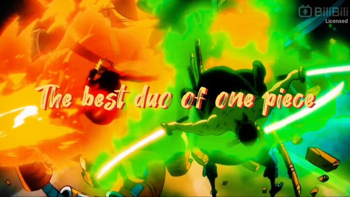 Roronoa and sanji team up