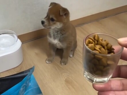 คุณหมายถึงอะไร?