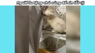 Nó muốn g.i.ế.t chết tao vì bệnh t.r.ầ.m k.ẽ.m #haihuoc #funny #videohai