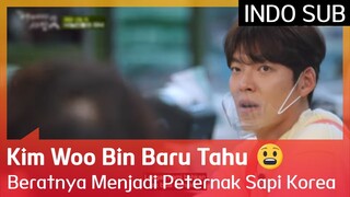 Kim Woo Bin Baru Tahu Beratnya Menjadi Peternak Sapi Korea 😧 #UnexpectedBusiness2 🇮🇩INDO SUB🇮🇩