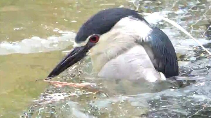姿势匪夷所思的夜师傅
