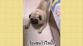 เพื่อนตัวน้อย สัตว์เลี้ยงแสนซน : เรื่องซนไว้ใจปั๊ก