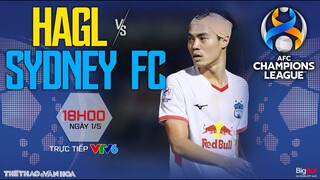 AFC Champions League | Trực tiếp VTV6 HAGL vs Sydney FC (18h ngày 1/5) | NHẬN ĐỊNH BÓNG ĐÁ C1 châu Á