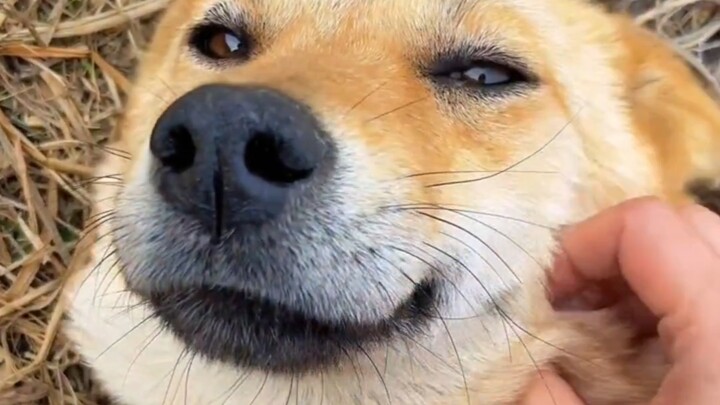 When my friend asked me who I hang out with back in the village～