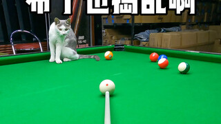 Pudding, you're causing trouble too!