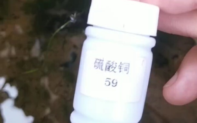 If I can’t even catch a mosquito, how could I not get rid of you?