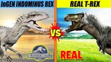 Rex Fight: Jurassic World Indominus Rex vs Real Life T-Rex | SPORE