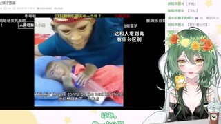 日本妹妹看《不正经猴子图鉴》