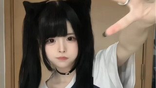 训练服但是猫猫版