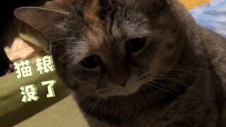 Poetry Recitation: "Where's My Meal?"