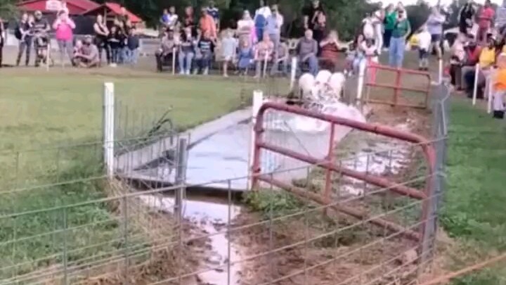 يا كنزي، أنت تجري بسرعة حقًا!