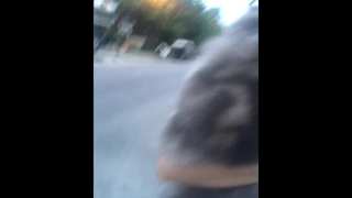 แมวคือทุกอย่างของฉันในตอนนี้