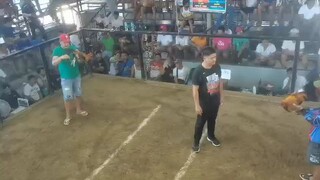 Gilmore hatch patibayan win