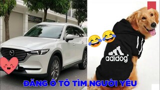 Đăng ô tô tìm người yêu 😂 - Top comments hài bá đạo Face Book.