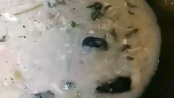 IP man teach bruce lee