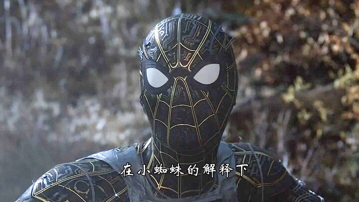 Why Does the Sandman Mistake the Baby Spider for a Spider Spirit?