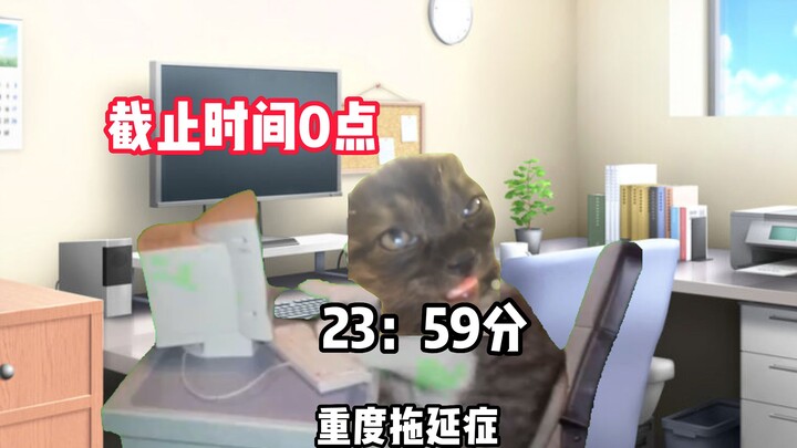 【Meme mèo】Những khoảnh khắc thiếu tập trung trong cuộc sống hằng ngày