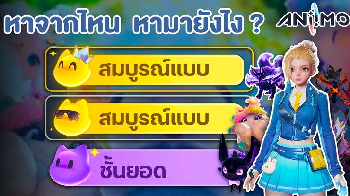 Aniimo สุดเทพ แว่นดำ + มงกุฎ ?  แสตท 8-9-10 คืออะไร ? คลิปนี้มีคำตอบ