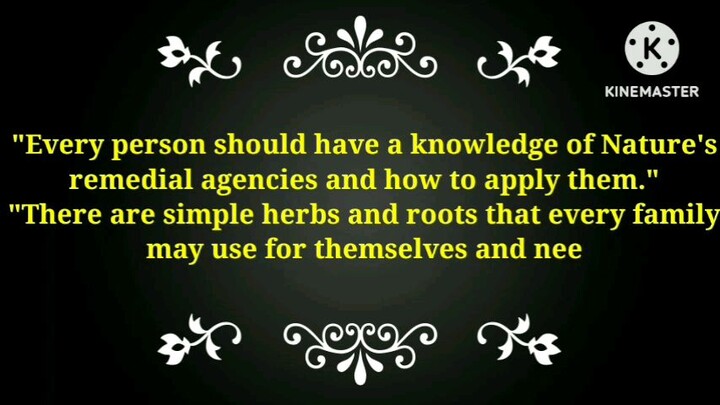 Amazing Trees and Plants