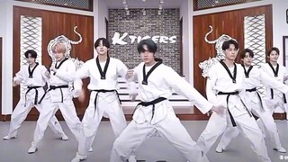 enhypen fever karate version