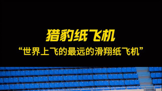 史上最强世界上飞的最远的滑翔纸飞机——猎豹纸飞机；飞的又直又远，普通玩家也能轻松飞行超40米！