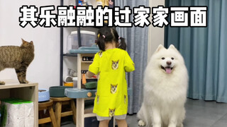 有了小猫咪小狗狗们，再也不用陪人类幼崽玩过家家了！