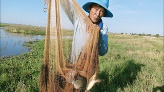 Tư và con trai sáng sớm đi chài cá dính thấy ham