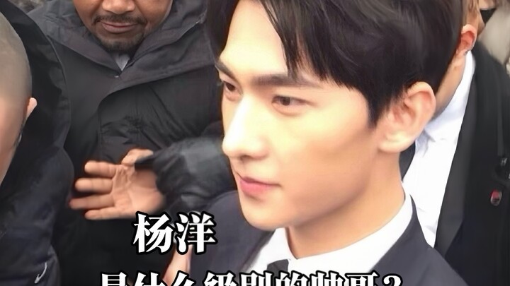 ما مستوى جمال يانغ يانغ؟