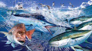 Catching Seafood 🦀🐙 ASMR Relaxing (Catch Shark , Catch Fish ,Deep Sea Monster ) #455