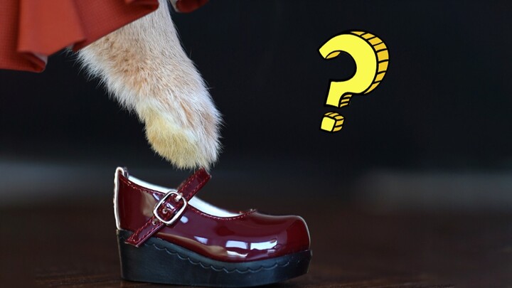 Hi 👠 Check out my size 45 feet!