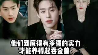 养得起吞金兽的人，实力都是不容小觑的