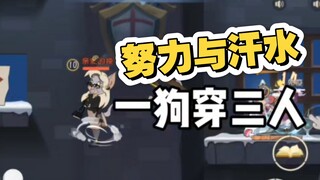 凯特一狗穿三教程 包教不包会