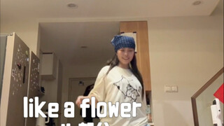 如花宝再次来也/irene/like a flower（db部分）