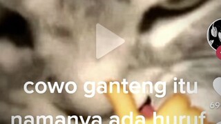 nih yg req yorichi btw udh tutup req ya... 🗿🙏