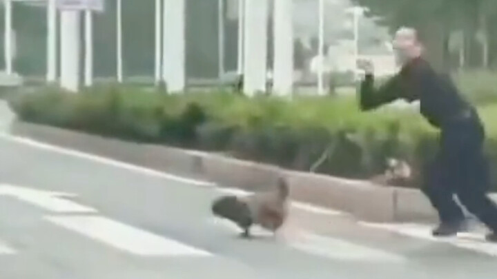 狗：当时我也害怕