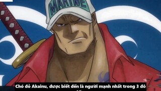 Tất Tần Tật Sự Thật Về Akainu - Kẻ Có Sức Mạnh Ngang Bằng Tứ Hoàng_ 1