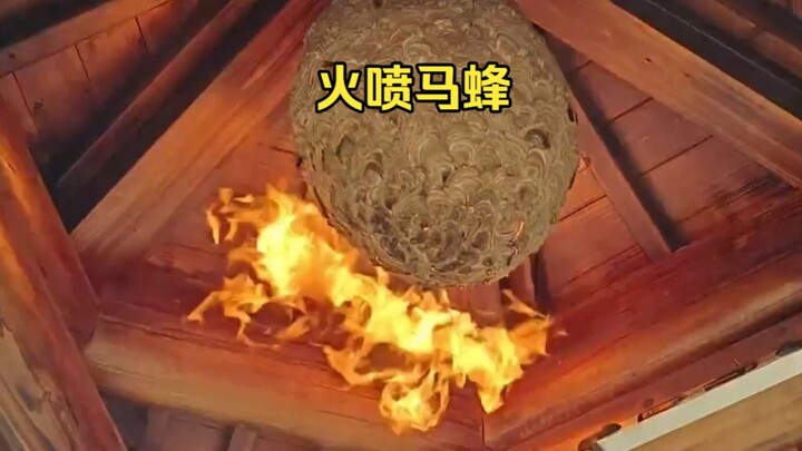 Hornet: This is simply a family-annihilation massacre!