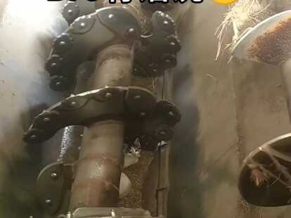 What should you do if there’s a kitten in the blender? [Bro Has Something to Say] 10