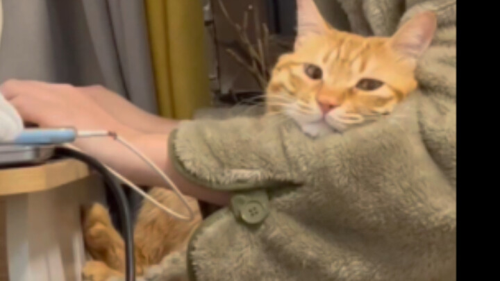 ผู้ชายเก่งๆ มักจัดการทั้งเกมและเลี้ยงลูกได้อย่างลงตัว