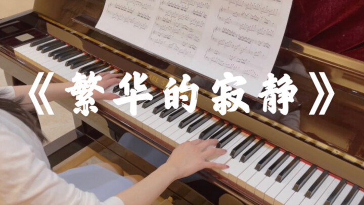 【钢琴】《繁华的寂静》文武贝｜治愈钢琴曲 旋律打动人心