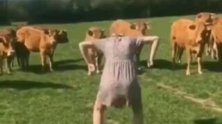 أفعال يمكن أن تخيف جميع الحيوانات