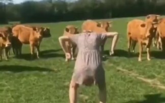 أفعال يمكن أن تخيف جميع الحيوانات