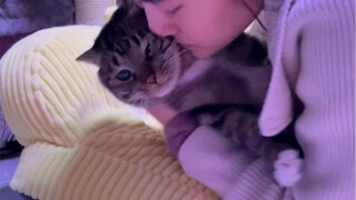 Underage kittens please watch this video accompanied by their owners!
