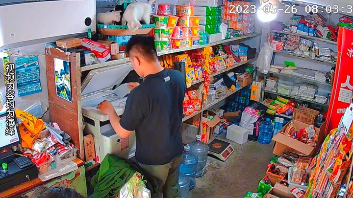 这流浪猫生了一窝小猫让我养实在太碍事了，等会我就扔出去