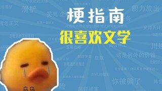 What is the meaning of "I like literature very much" [Meme Guide]
